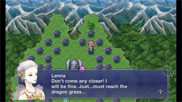 Can i run FINAL FANTASY V