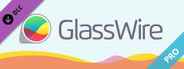 GlassWire Pro