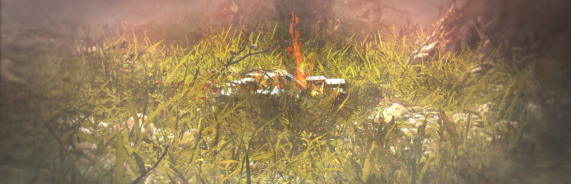 Nirvana, Origin of Fate