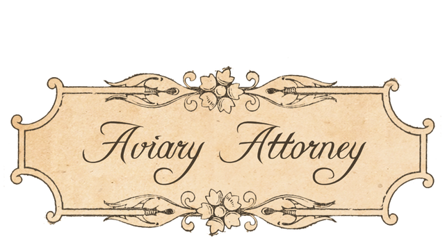 Aviary Attorney - Steam Backlog