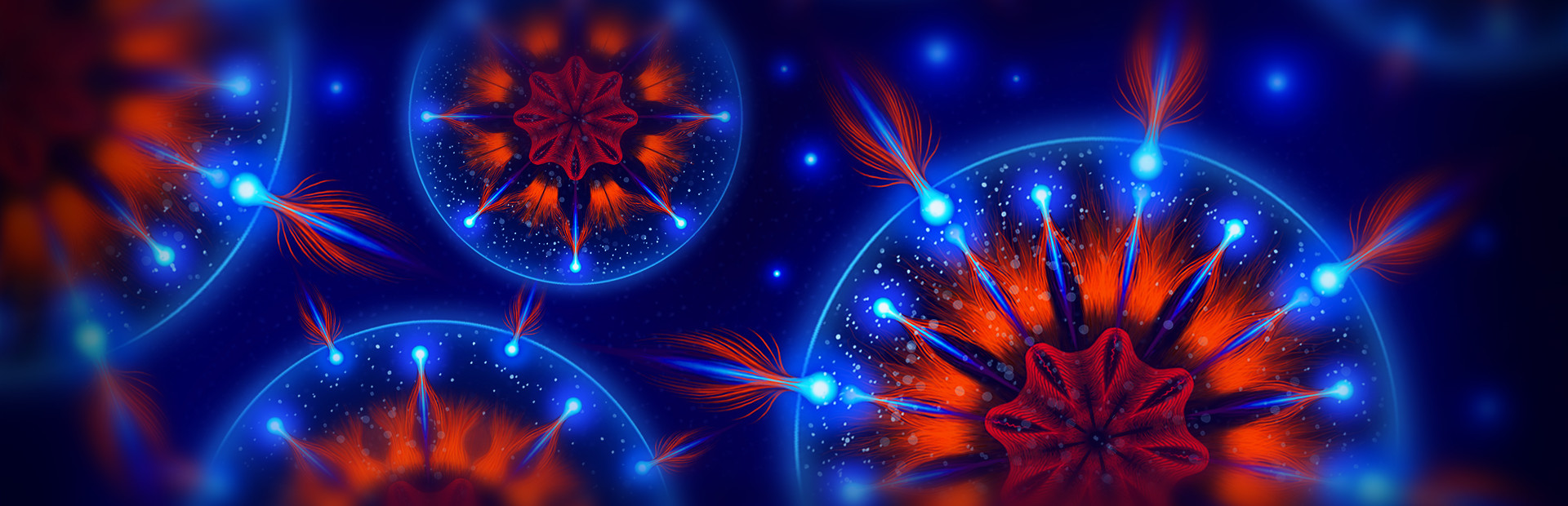 Microcosmum: survival of cells