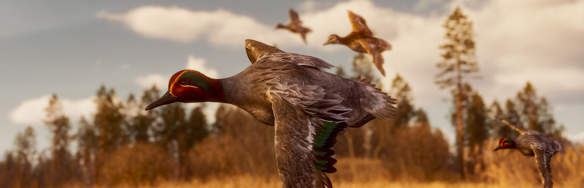 BULT: Hunting simulator