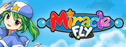Miracle Fly System Requirements