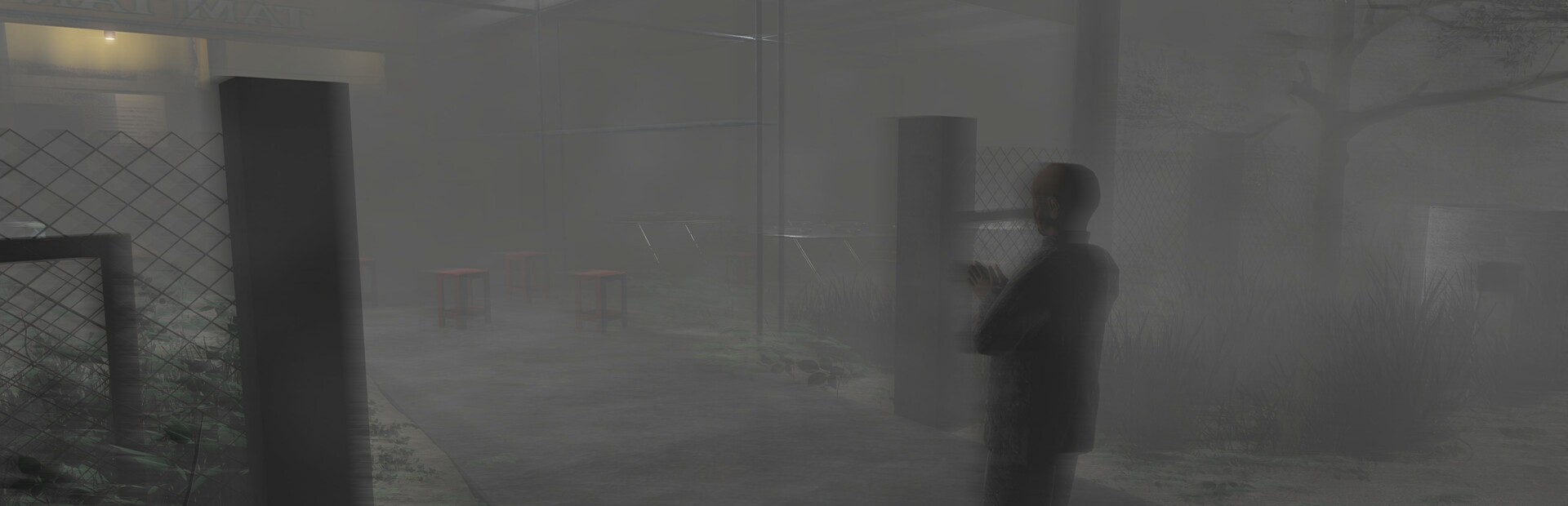 Đồng Cỏ Lau - The Reed Field