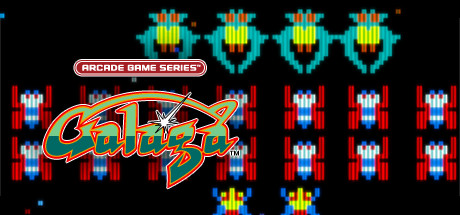 ARCADE GAME SERIES: GALAGA cover art