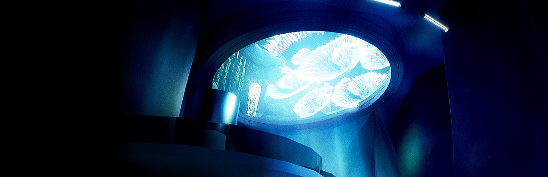 The Place: Beneath the Mind