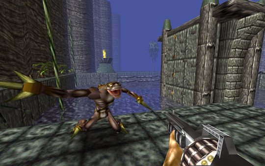 Turok recommended requirements