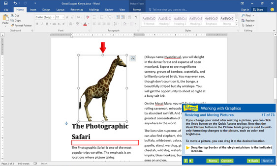 Professor Teaches Word 2016 PC requirements