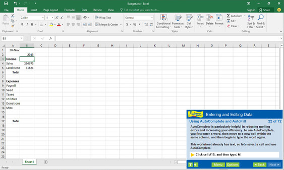 Скриншот из Professor Teaches Excel 2016