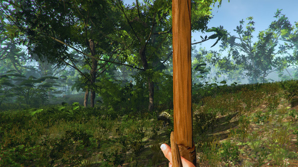 Vortex: The Gatewayfor windows and Linux 1