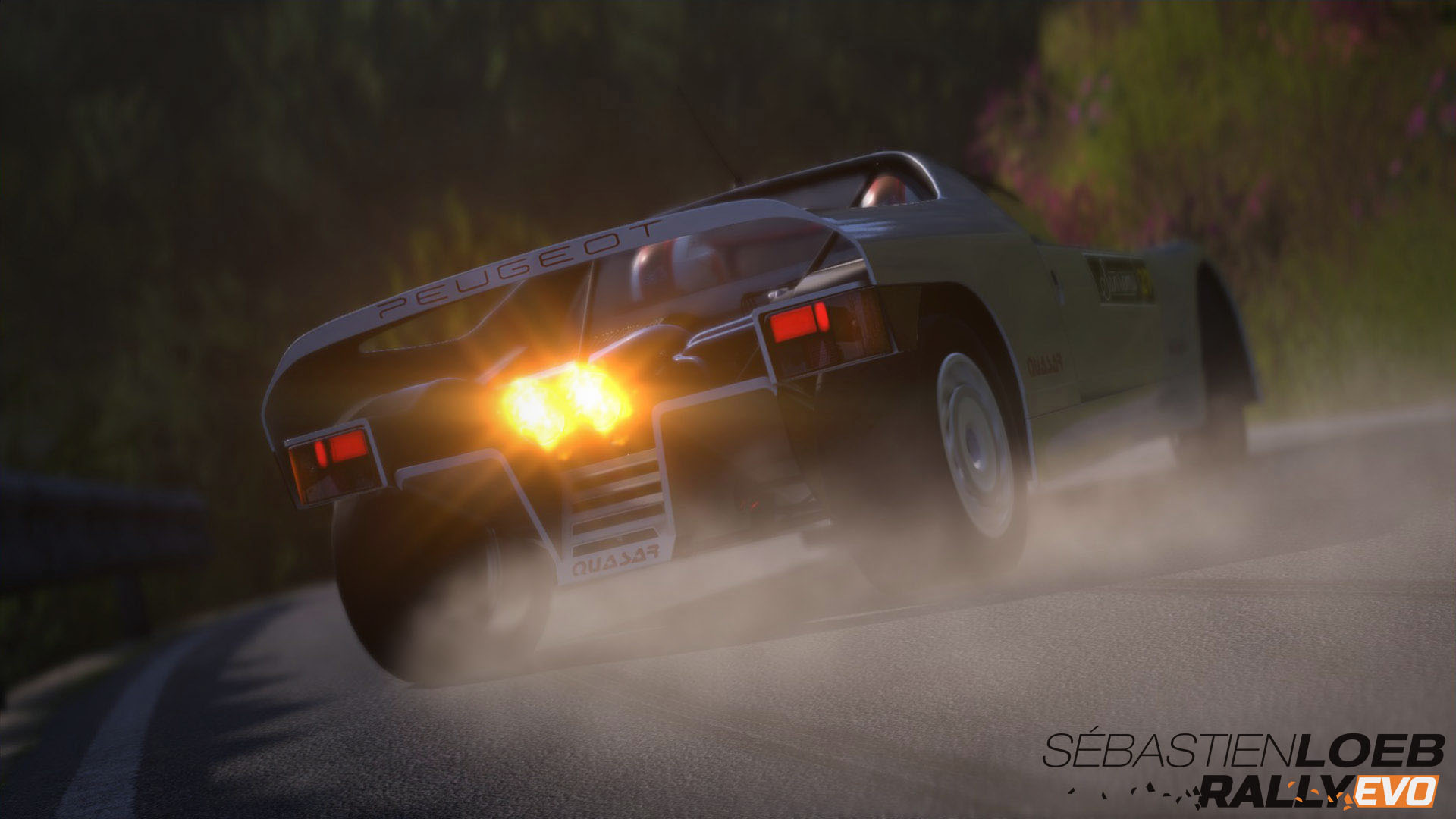 Sébastien Loeb Rally EVO - Class S The Prototypes Resimleri 