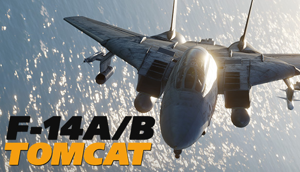 Dcs F 14 By Heatblur Simulations On Steam