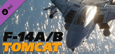 DCS: F-14 Tomcat cover art