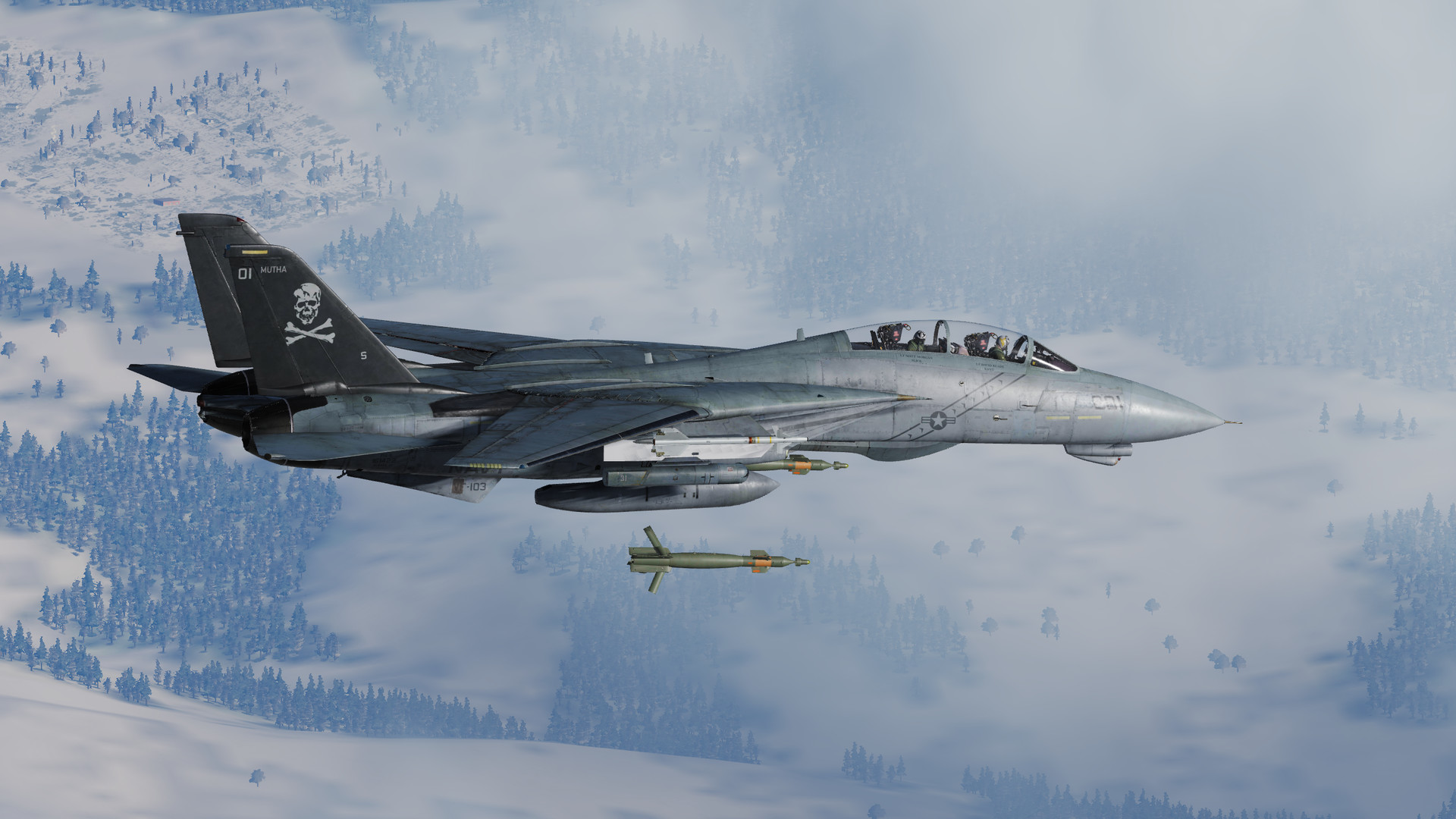 DCS: F-14 by Heatblur Simulations on Steam