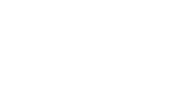 RAID: World War II - Steam Backlog