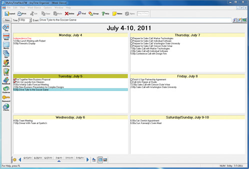 AnyTime Organizer Standard 15 minimum requirements