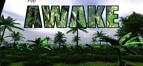 AWAKE cover art