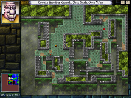 Скриншот из DROD: The City Beneath