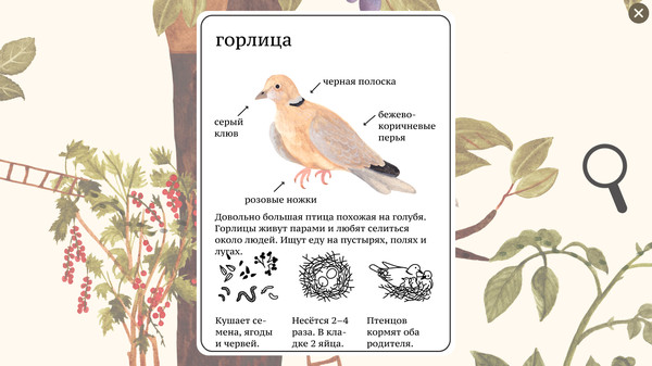 Скриншот из Little Mouse's Encyclopedia Скриншот из Little Mouse's Encyclopedia