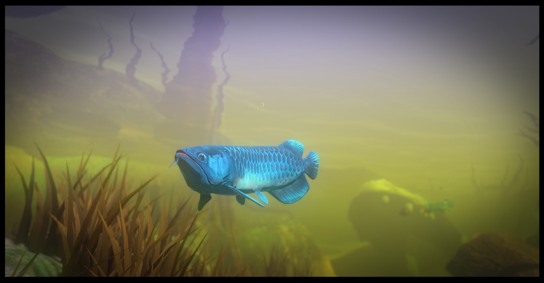 feed and grow fish video game