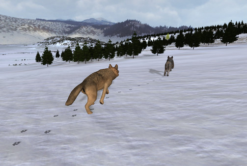 Скриншот из WolfQuest: Classic