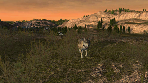 Скриншот из WolfQuest: Classic