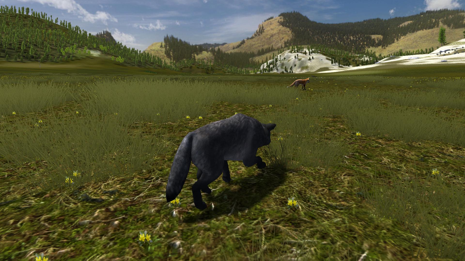 wolfquest 2.5 system requirements