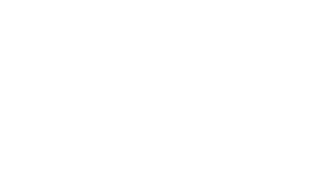 CDF Starfighter VR Logo