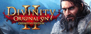 Divinity: Original Sin 2 (Steam)