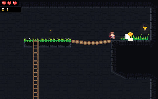 Dungeon Runnerfor windows and Linux 1