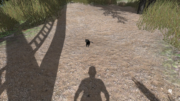 Скриншот из Share