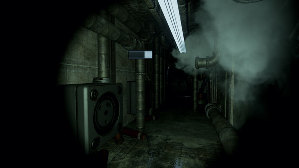 Amigdalafor windows and Linux 1