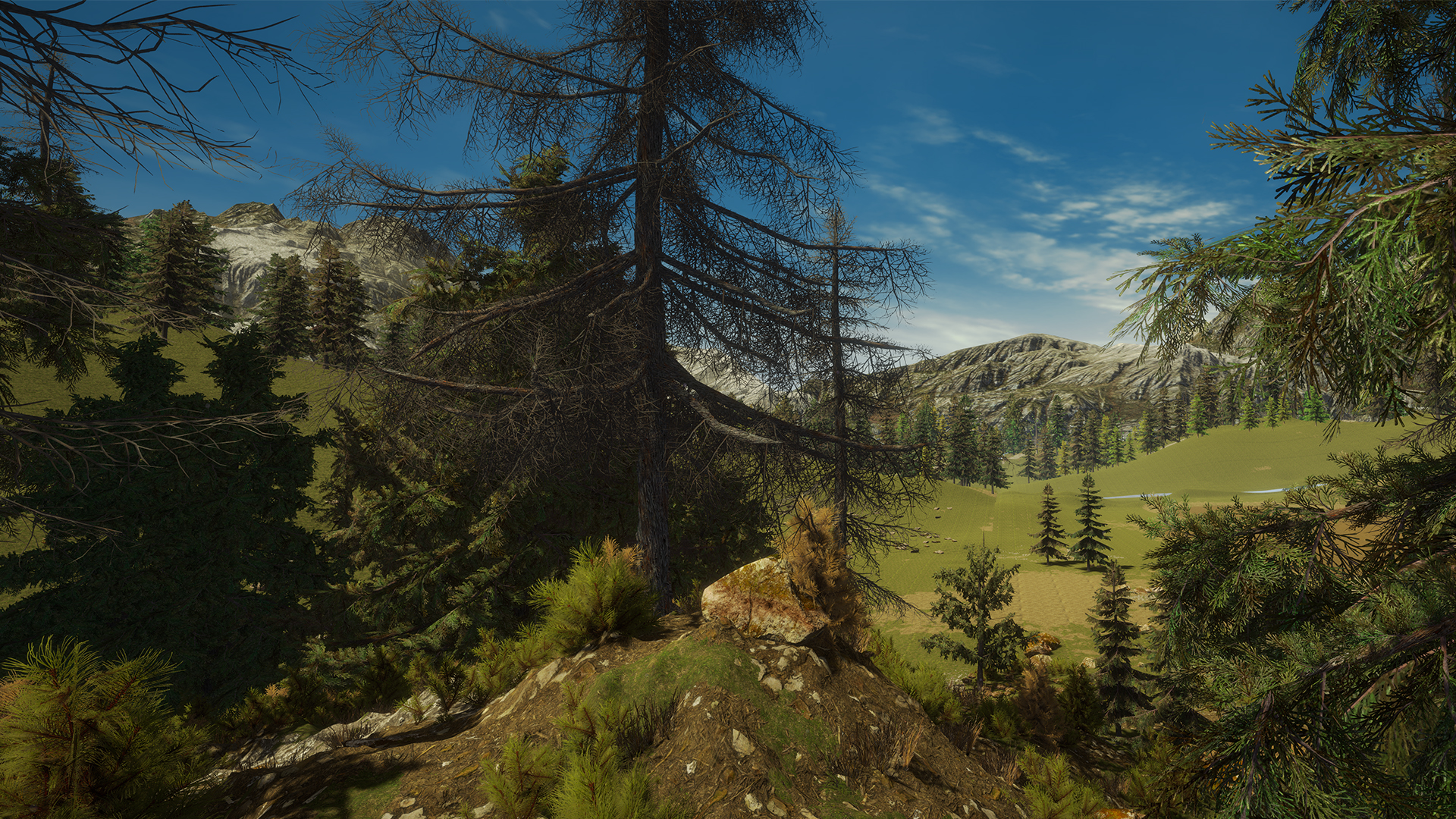 gold rush the game