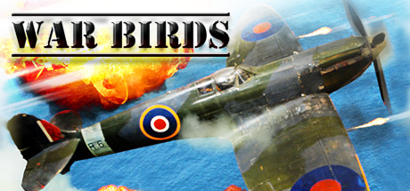War Birds: WW2 Air strike 1942 cover art