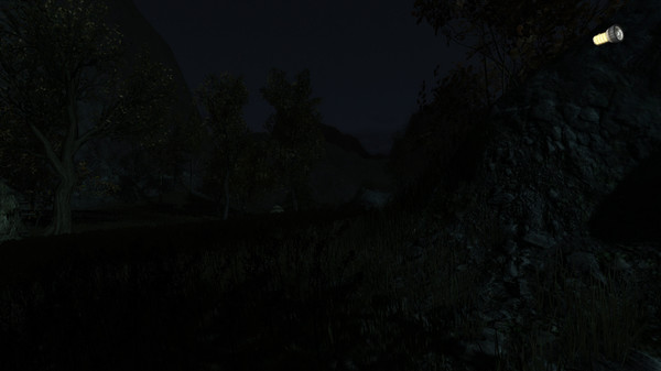 Скриншот из The Secret of Pineview Forest