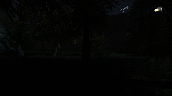 Скриншот из The Secret of Pineview Forest