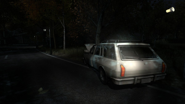 Скриншот из The Secret of Pineview Forest