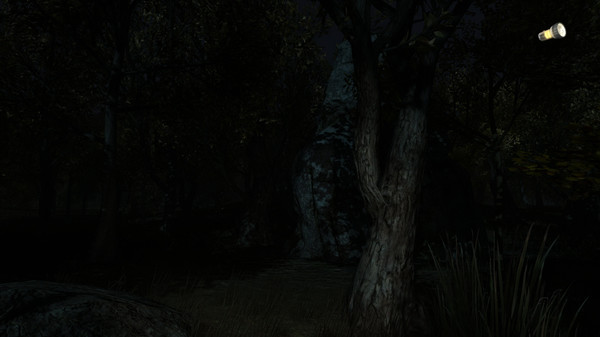 Скриншот из The Secret of Pineview Forest