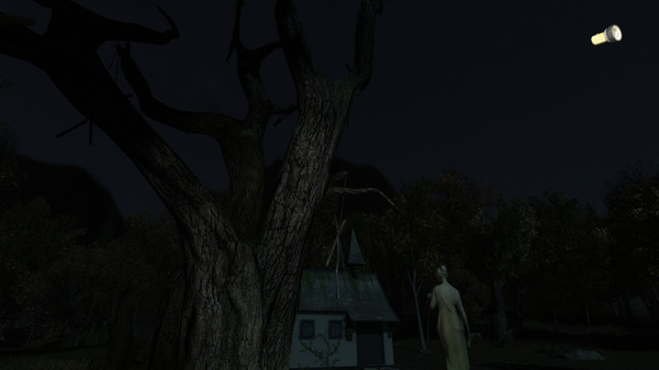 Скриншот из The Secret of Pineview Forest