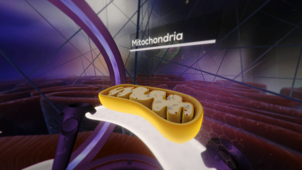 Скриншот из The Body VR: Journey Inside a Cell