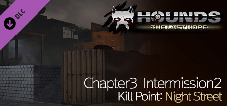 Chapter3 Intermission2 Kill Point: Night Street