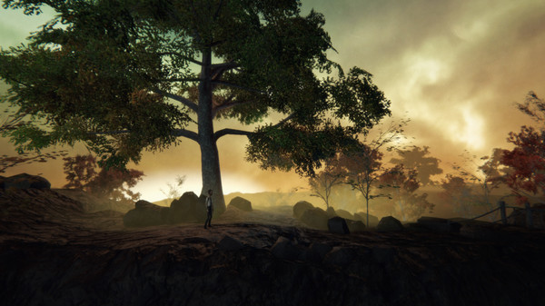 Скриншот из Adele: Following the Signs