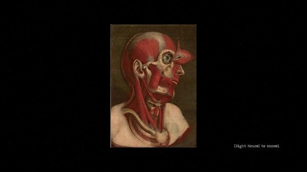 Скриншот из NORTH Скриншот из NORTH