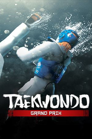 Taekwondo Grand Prix poster image on Steam Backlog