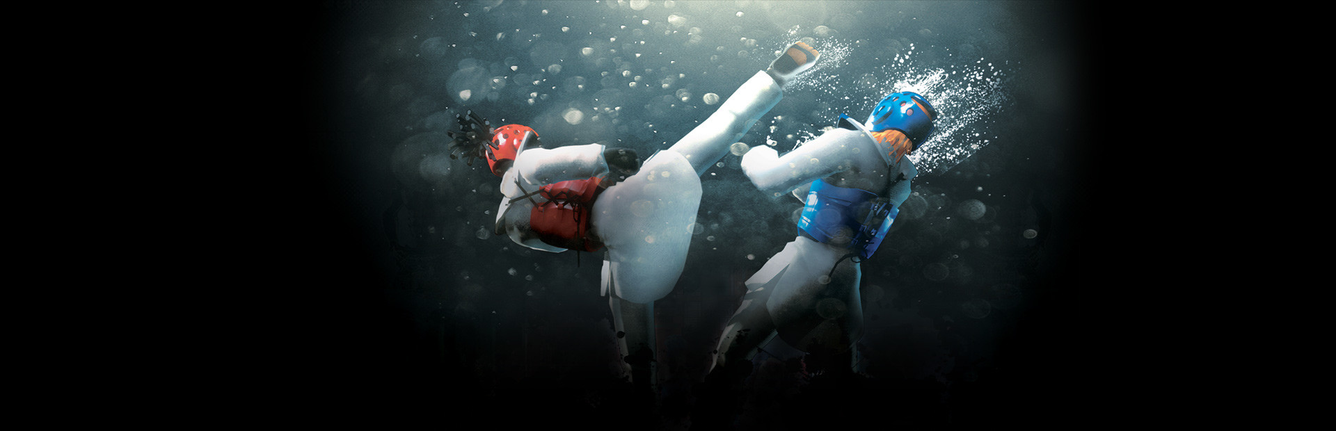 Taekwondo Grand Prix