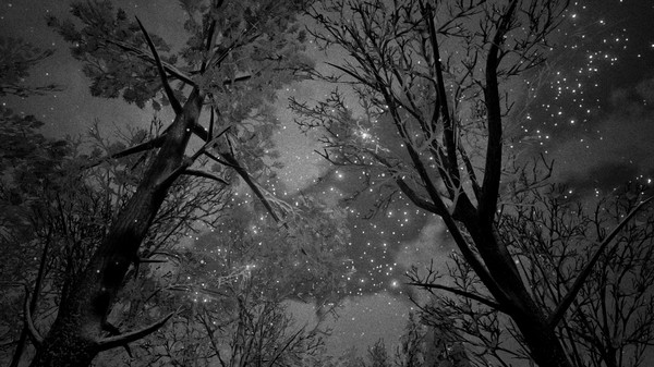 Скриншот из Bottle