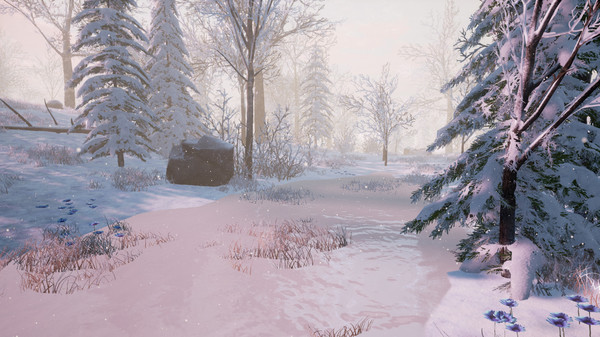 Скриншот из Bottle