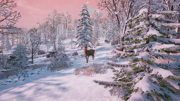 Скриншот из Bottle