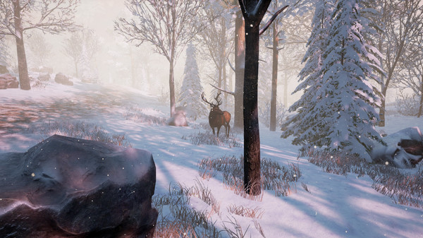 Скриншот из Bottle