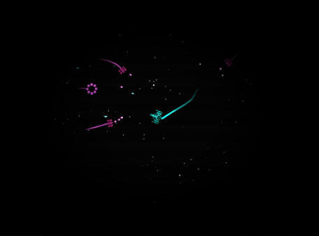 Space Codexfor windows and Linux 1